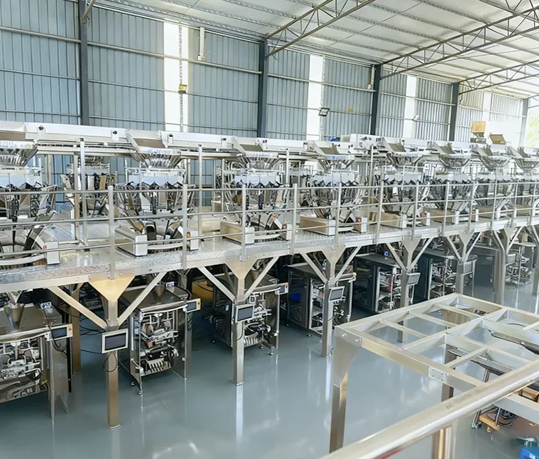 Automatic Vertical Packaging Line
